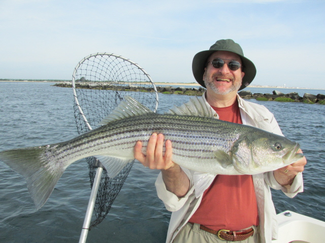 Doug's striper 8-19-13